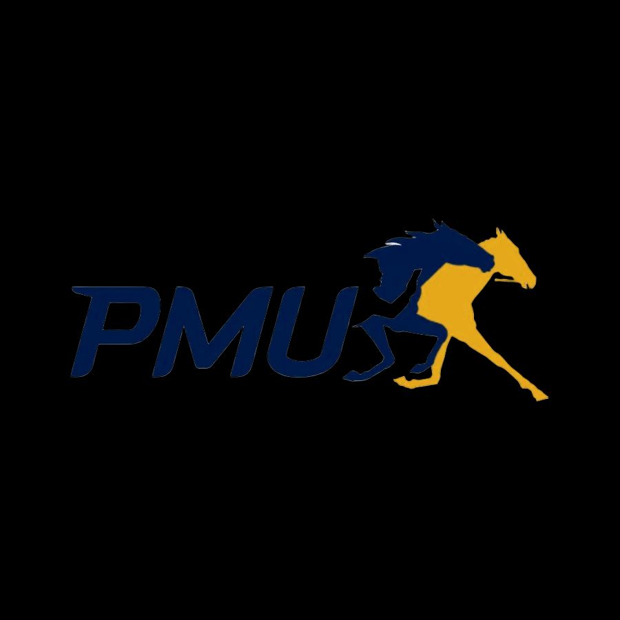 PMU